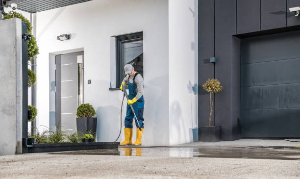 Best Graffiti Removal  in Belterra, TX